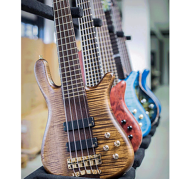 Модельный ряд гитар Warwick